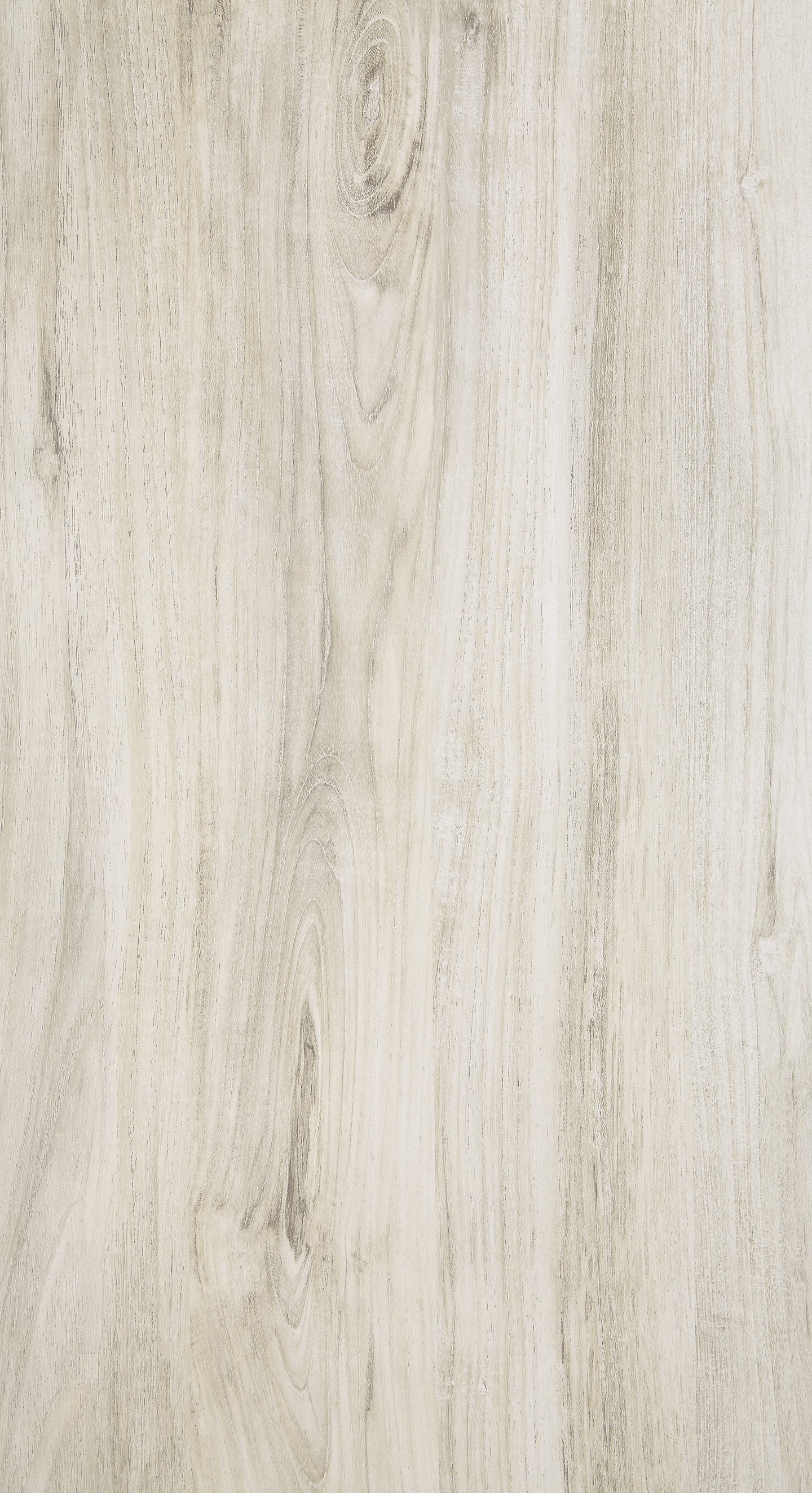 B331/B6/B1 : PKG004724